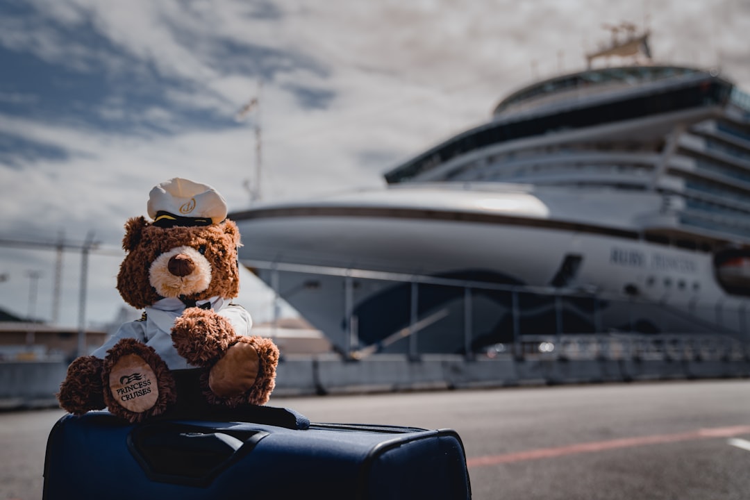 Essential Cruise Travel Gear for Your Next Adventure Essential Cruise Travel Gear for Your Next Adventure