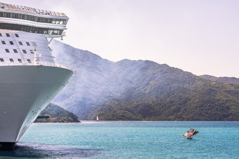 The Ultimate Guide to Cruise Travel Accessories